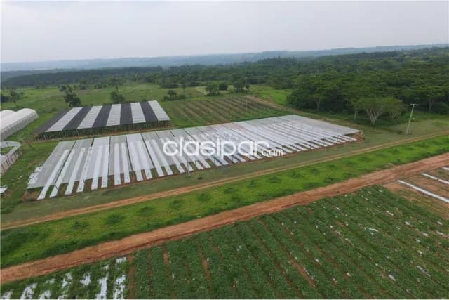 Estancia/Campo - Venta - Paraguay Cordillera Itacurubí De La Cordillera, foto 3