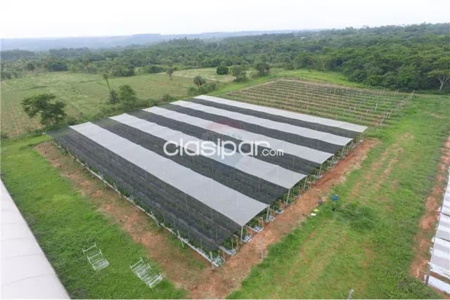 Estancia/Campo - Venta - Paraguay Cordillera Itacurubí De La Cordillera, foto 5