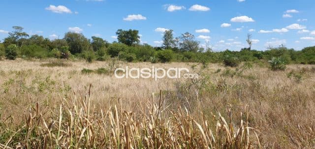 Campo de 1.328 Hectáreas en Boquerón, Zona Pechugon - CLCS6570929