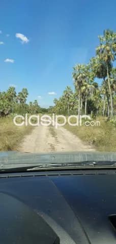 Campo de 1.328 Hectáreas en Boquerón, Zona Pechugon - CLCS6570929 — foto 3