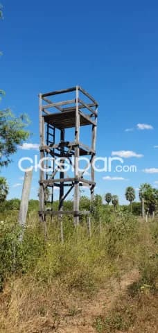 Campo de 1.328 Hectáreas en Boquerón, Zona Pechugon - CLCS6570929 — foto 4