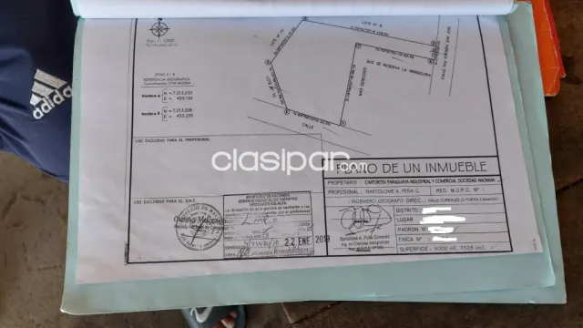 Oferto en limpio, la salada, prox. Frigomax, frigor. Guaraní, 5.000 m2 s/ ruta, conexiones, foto 3