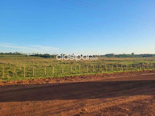 Campo Agrícola/Ganadero Mecanizado en San Juan Nepomuceno - 142 Ha