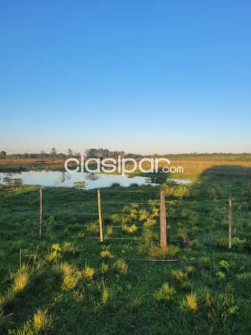 Campo Agrícola/Ganadero Mecanizado en San Juan Nepomuceno - 142 Ha, foto 3