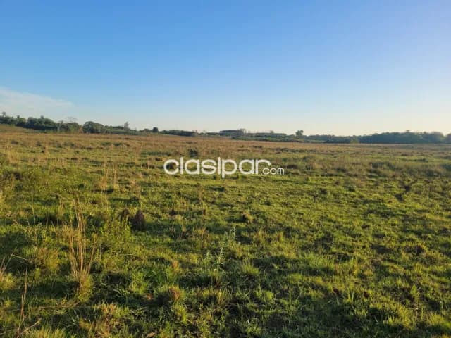 Campo Agrícola/Ganadero Mecanizado en San Juan Nepomuceno - 142 Ha, foto 4