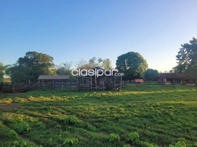 Campo Agrícola/Ganadero Mecanizado en San Juan Nepomuceno - 142 Ha, foto 5