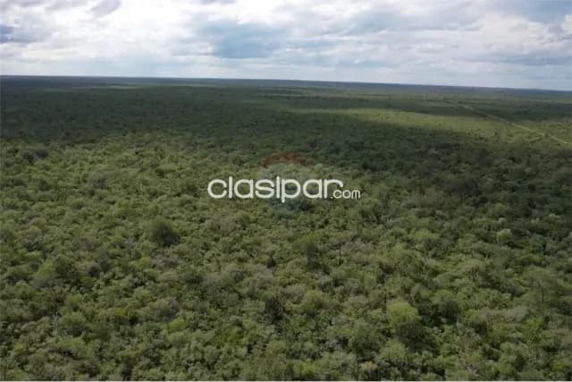 Estancia/Campo - Venta - Paraguay Alto Paraguay Mayor Pablo Lagerenza — foto 2
