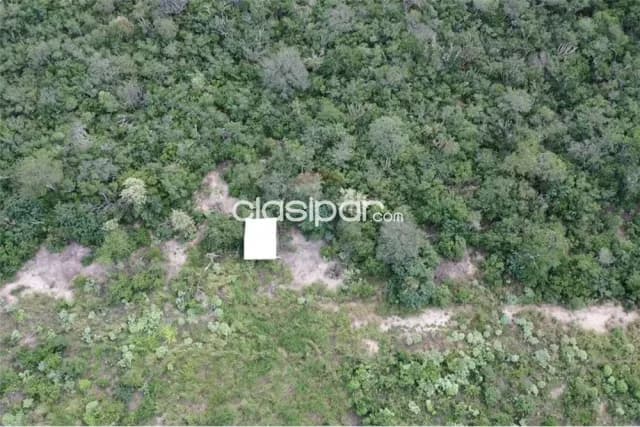 Estancia/Campo - Venta - Paraguay Alto Paraguay Mayor Pablo Lagerenza — foto 4