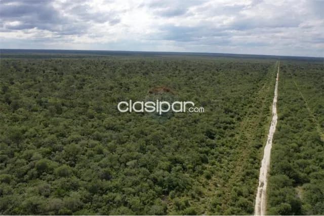 Estancia/Campo - Venta - Paraguay Alto Paraguay Mayor Pablo Lagerenza — foto 5