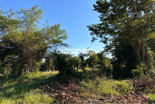 De terreno 3750 m² , Capiatá