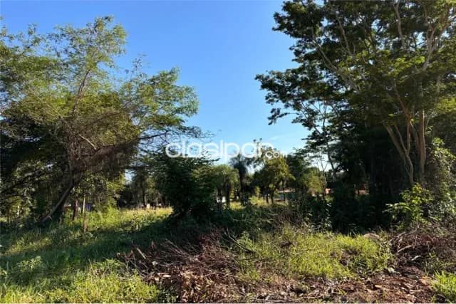 De terreno 3750 m² , Capiatá — foto 2