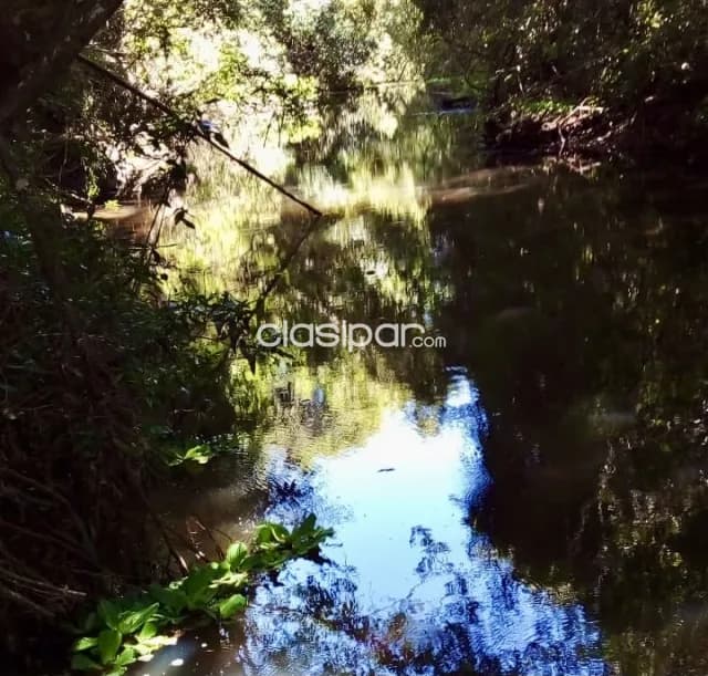 Campo Agrícola/Ganadero en Capitan Miranda - 30 Ha — foto 3