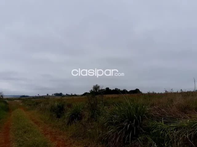 Campo Agrícola/Ganadero en Capitan Miranda - 30 Ha — foto 4