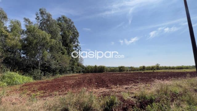 Terreno Rural en Carmen del Paraná - 25 Ha