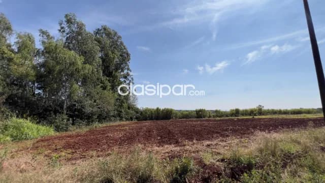 Terreno Rural en Carmen del Paraná - 25 Ha, foto 2