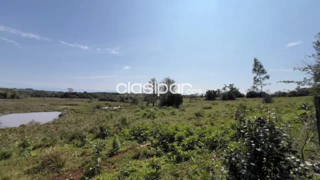 Terreno Rural en Carmen del Paraná - 25 Ha, foto 3