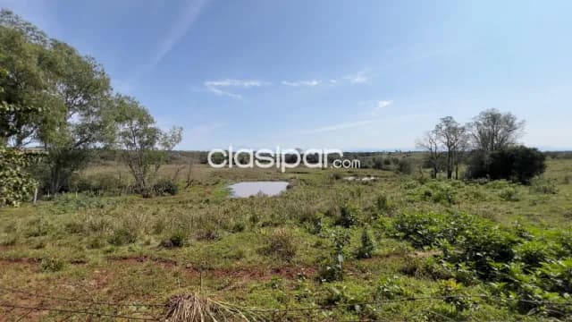 Terreno Rural en Carmen del Paraná - 25 Ha, foto 4