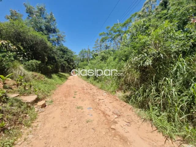 4 terrenos en altos de 1.000 m2 c/uno zona ruta altos – San Bernardino cod: V0307, foto 5