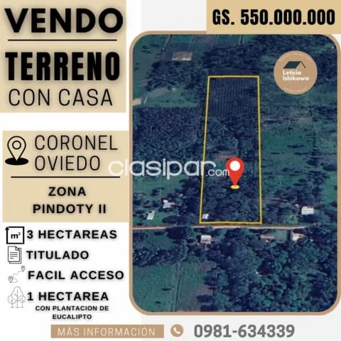 Coronel oviedo - vendo hermosa propiedad de 3 hectáreas - zona fraccion pindoty II, foto 3