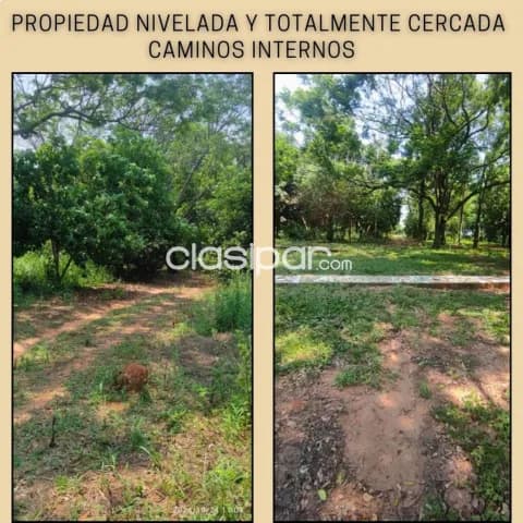 Coronel oviedo - vendo hermosa propiedad de 3 hectáreas - zona fraccion pindoty II, foto 5