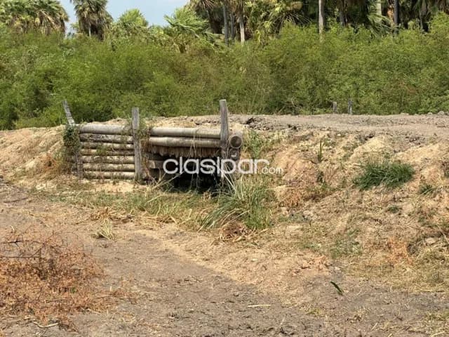 Estancia con Gran Potencial Agrícola en Villa Hayes - LCS6586889 — foto 2