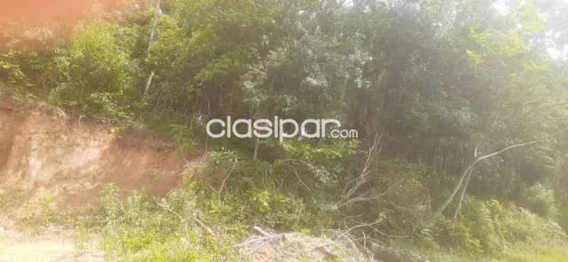 Terreno de 4100 m2 sobre ruta en Blas Garay departamento de Caaguazu, foto 3