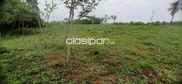Terreno de 4100 m2 sobre ruta en Blas Garay departamento de Caaguazu, foto 4