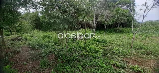 Terreno de 4100 m2 sobre ruta en Blas Garay departamento de Caaguazu, foto 5