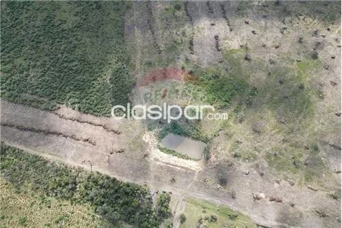 Estancia en presidente hayes — foto 2