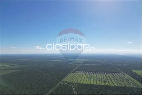 Estancia en presidente hayes — foto 4