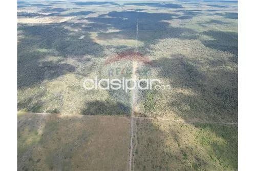 Estancia en presidente hayes — foto 5