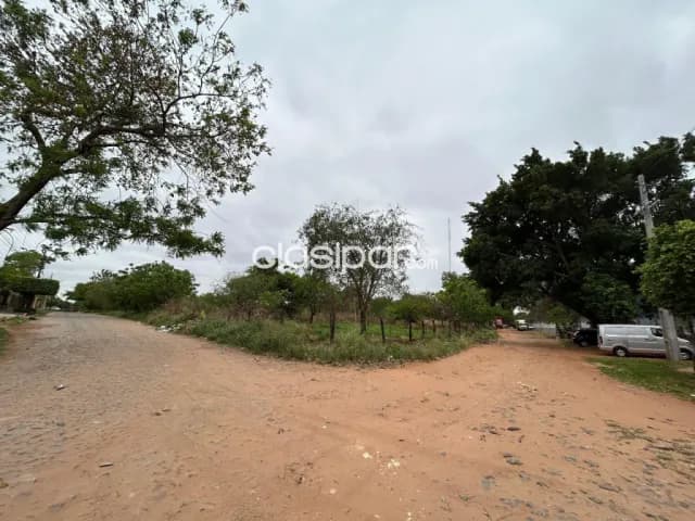 📢 ¡Gran oportunidad de alquiler de terreno en San Lorenzo! 📢 — foto 5