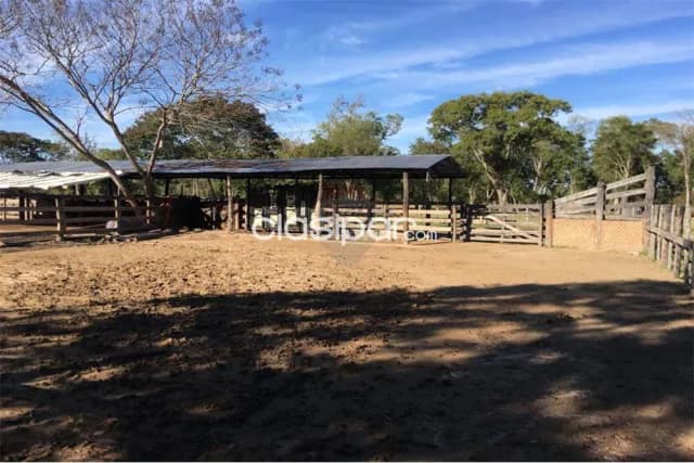 Estancia/Campo - Venta - Paraguay San Pedro Villa del Rosario, foto 3