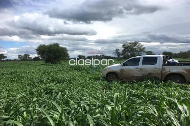 Estancia/Campo - Venta - Paraguay San Pedro Villa del Rosario, foto 4