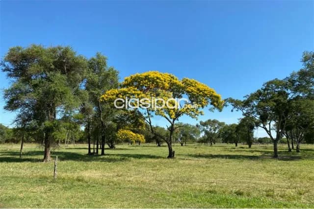 Estancia/Campo - Venta - Paraguay San Pedro Villa del Rosario, foto 5