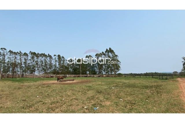 Estancia/Campo - Venta - Paraguay Caaguazú Simón Bolívar, foto 1