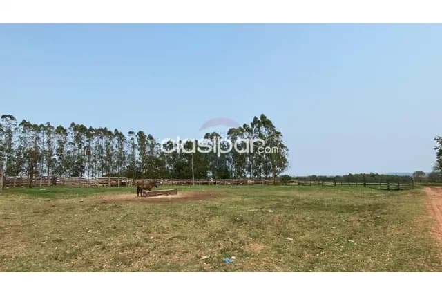 Estancia/Campo - Venta - Paraguay Caaguazú Simón Bolívar, foto 2