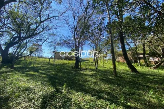 Amplia propiedad de 3600m2 con arroyo en piribebuy — foto 3