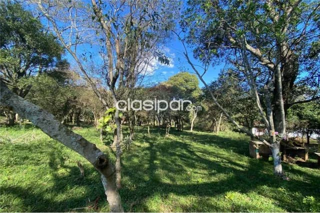 Amplia propiedad de 3600m2 con arroyo en piribebuy — foto 4