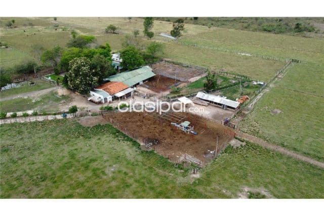 Estancia/Campo - Venta - Paraguay Presidente Hayes Benjamín Aceval, foto 1