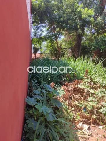 Terreno en Luque centro cod 3483 — foto 5