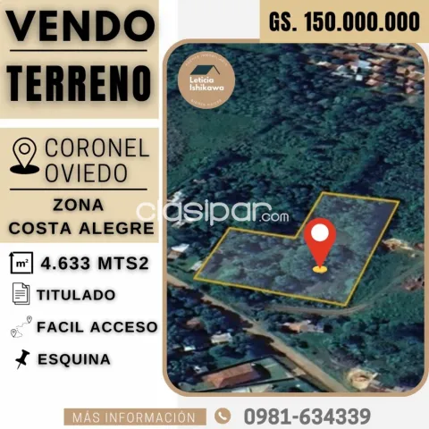 Coronel oviedo - vendo propiedad en esquina de 4.633 mts² - zona costa alegre, foto 3