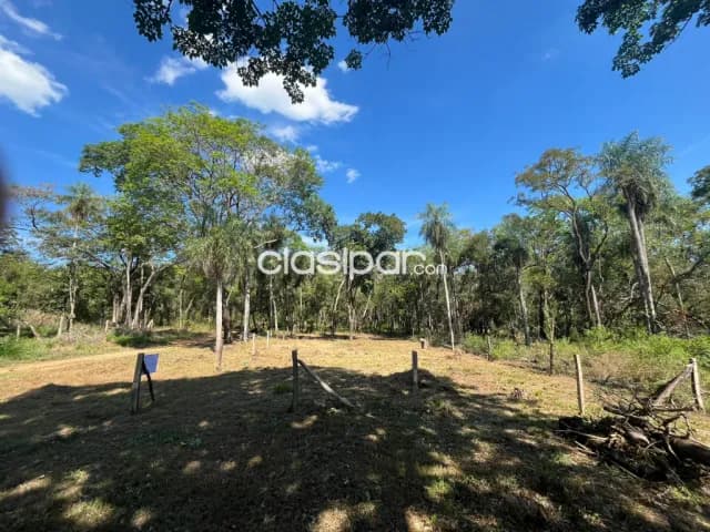 Terreno en San Bernardino ciervo cua cod 3570 — foto 4