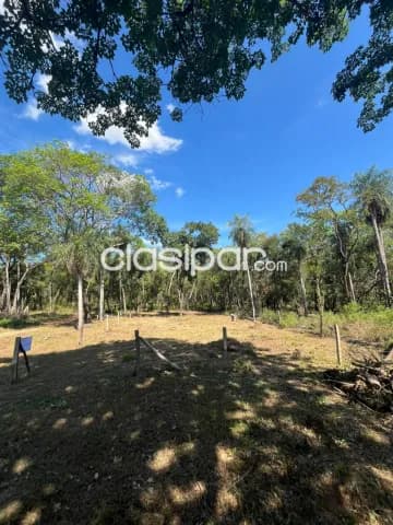 Terreno en San Bernardino ciervo cua cod 3570 — foto 5