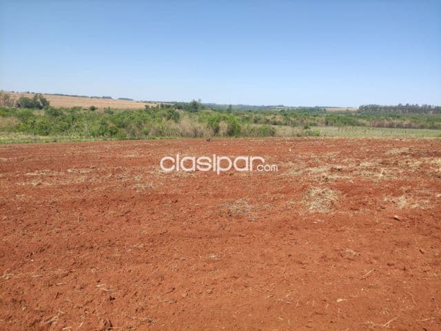 Terreno Agrícola en San Pedro del Paraná - 17 Ha — foto 1