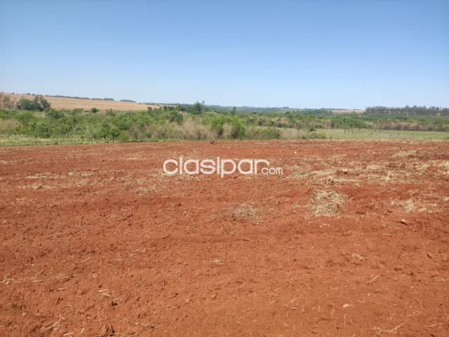 Terreno Agrícola en San Pedro del Paraná - 17 Ha — foto 2