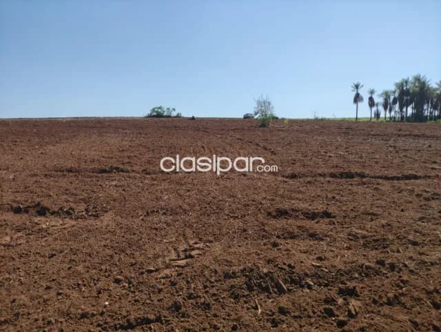 Terreno Agrícola en San Pedro del Paraná - 17 Ha — foto 3