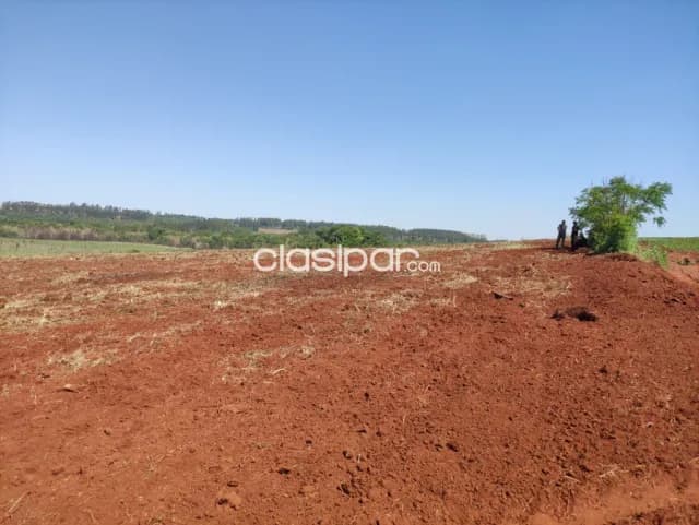 Terreno Agrícola en San Pedro del Paraná - 17 Ha — foto 4