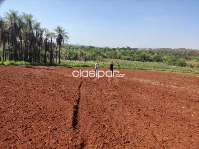 Terreno Agrícola en San Pedro del Paraná - 17 Ha — foto 5