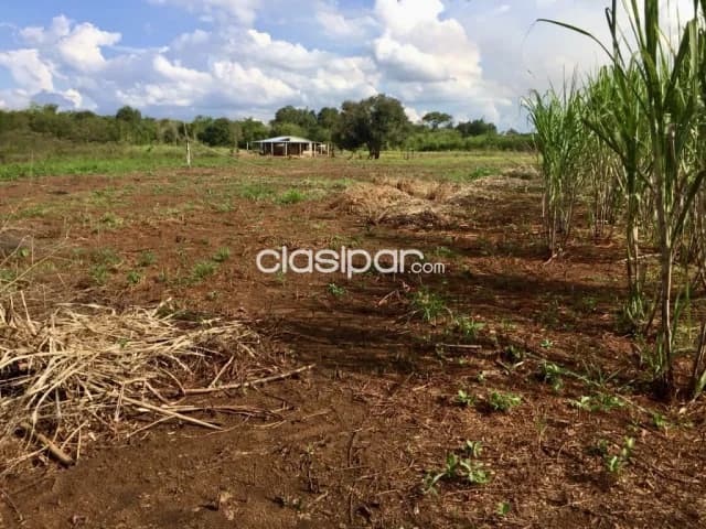 Campo Agrícola Mecanizado en Yguazú - 30 Ha, foto 3